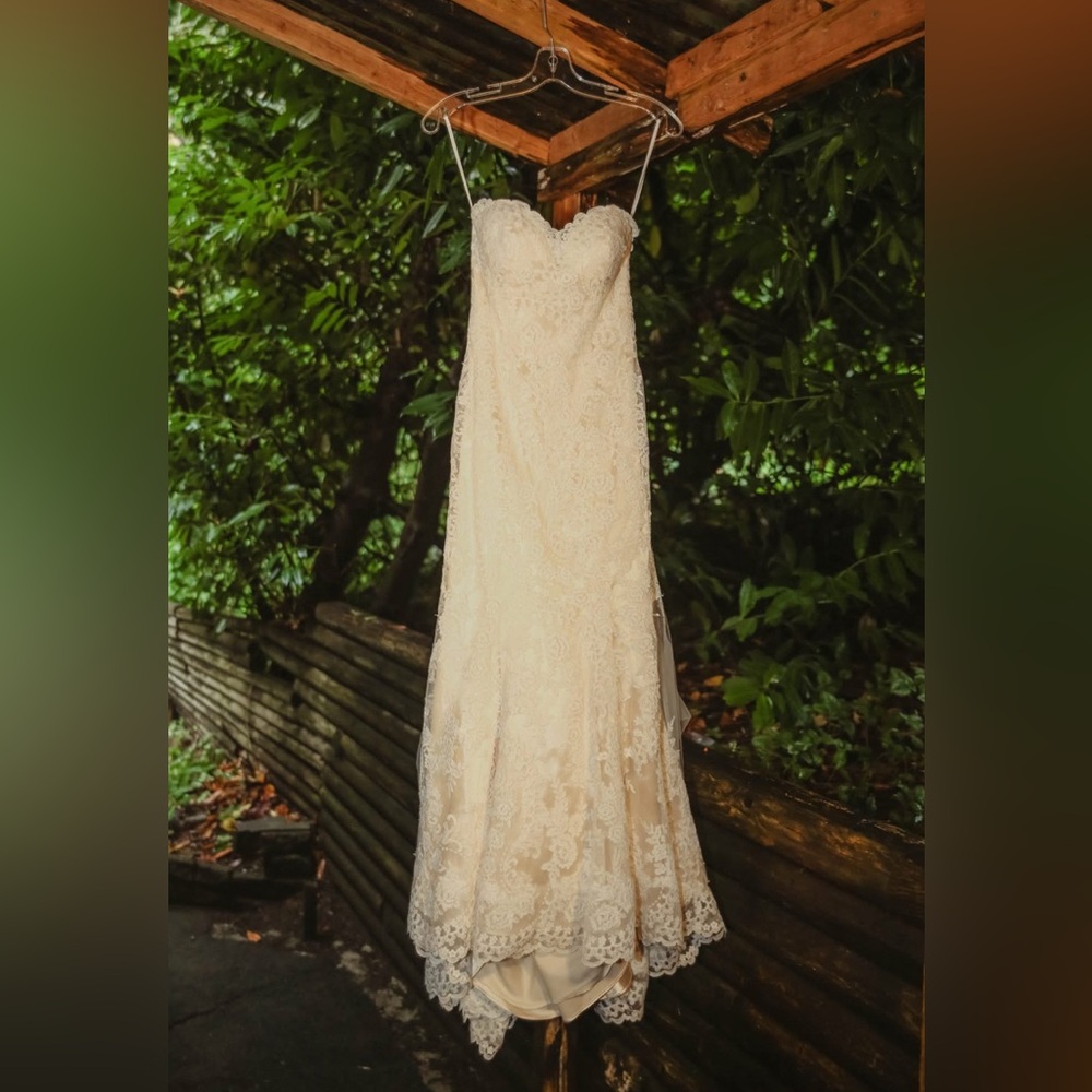 Eddy K Fiji Wedding Gown (Size 2)